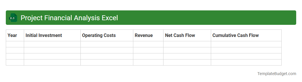 Project Financial Analysis Excel