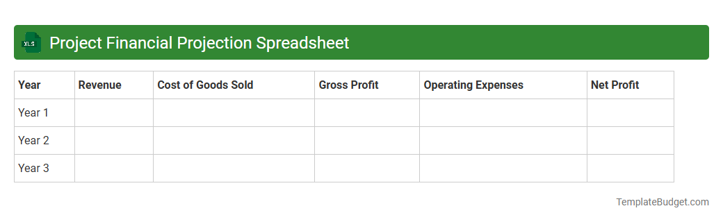 Project Financial Projection Spreadsheet