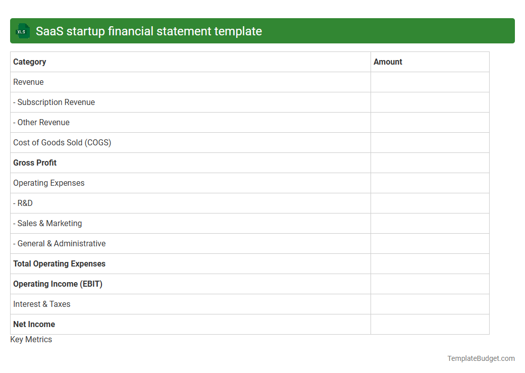 SaaS startup financial statement template