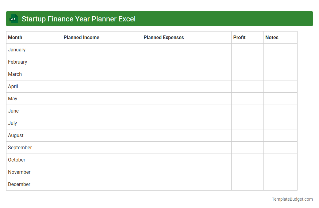 Startup Finance Year Planner Excel