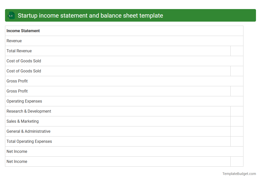 Startup income statement and balance sheet template