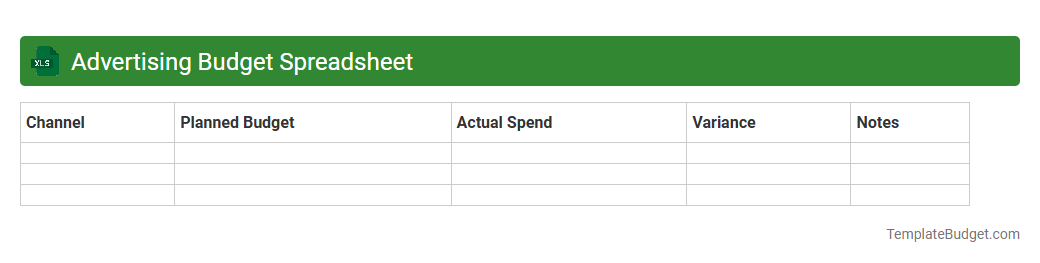 Advertising Budget Spreadsheet