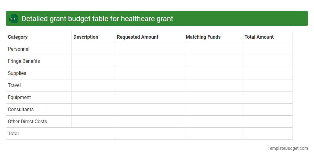 Detailed grant budget table for healthcare grant