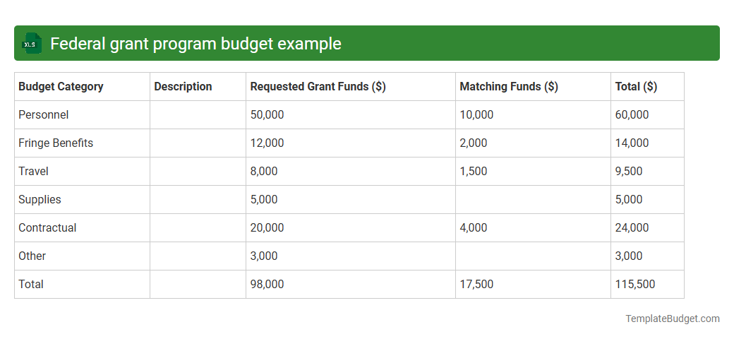 Federal grant program budget example