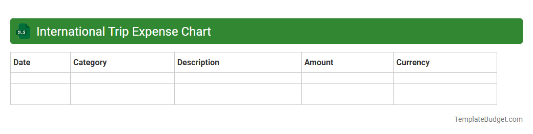 International Trip Expense Chart