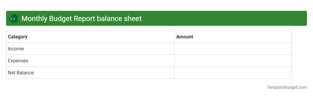 Monthly Budget Report balance sheet