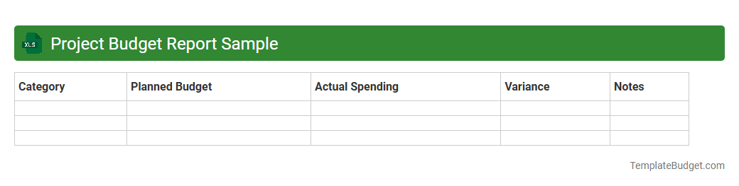 Project Budget Report Sample
