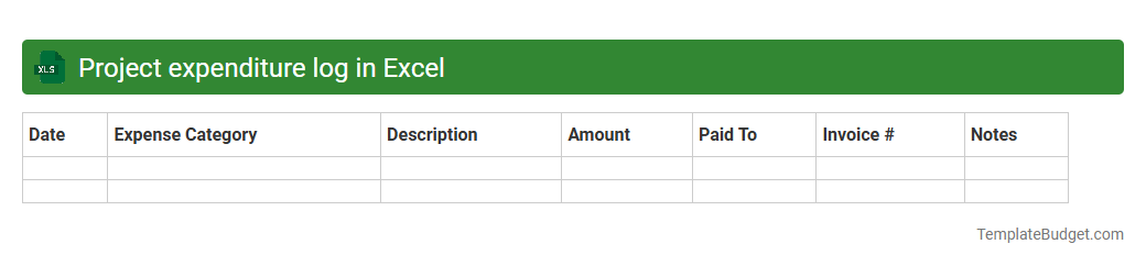 Project expenditure log in Excel