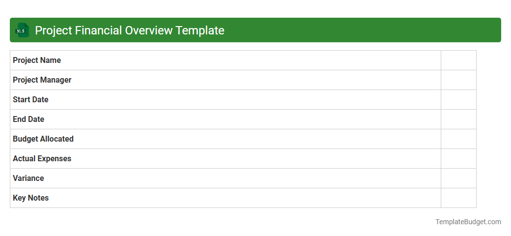 Project Financial Overview Template