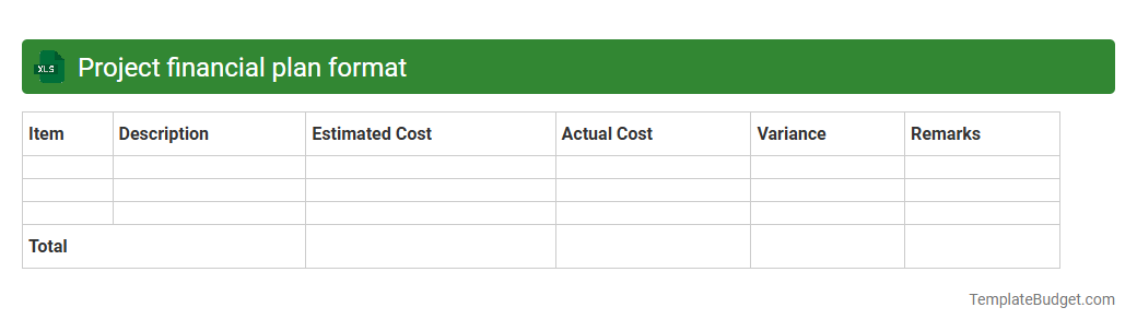 Project financial plan format