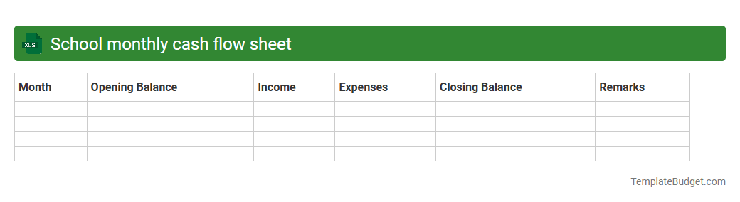 School monthly cash flow sheet