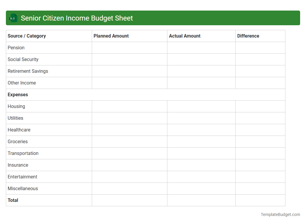 Senior Citizen Income Budget Sheet