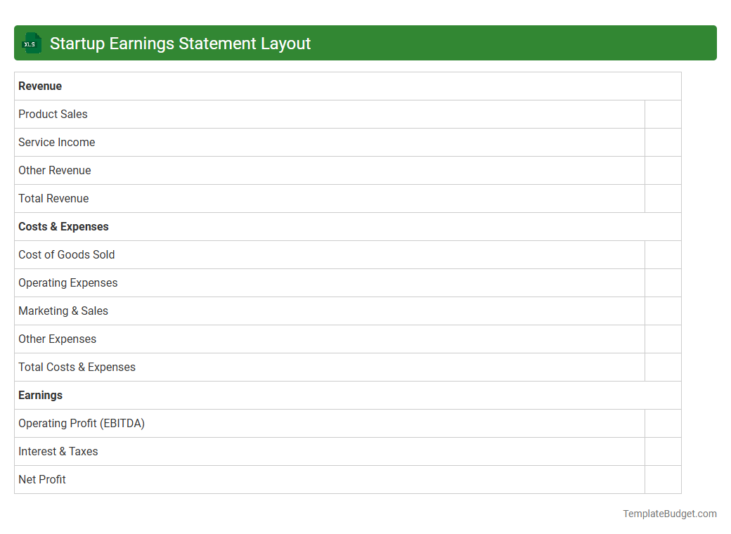 Startup Earnings Statement Layout