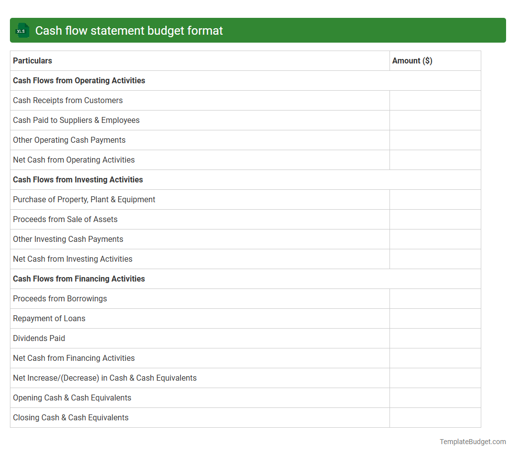 Cash flow statement budget format