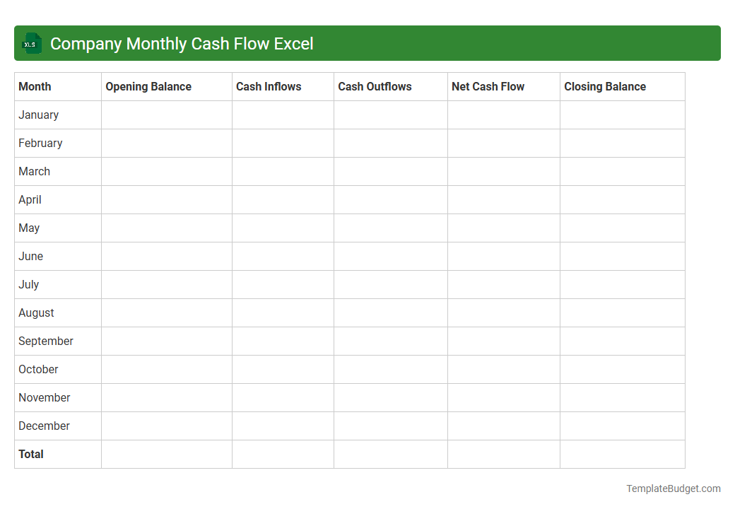 Company Monthly Cash Flow Excel