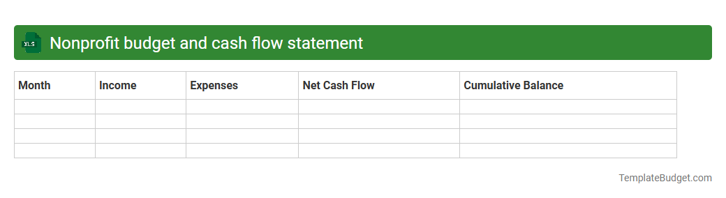 Nonprofit budget and cash flow statement