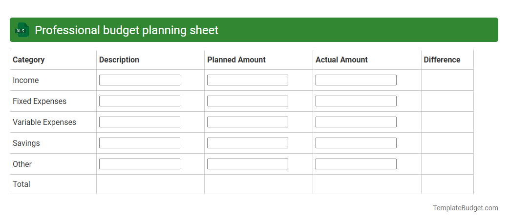 Professional budget planning sheet