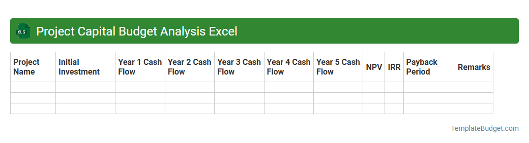 Project Capital Budget Analysis Excel