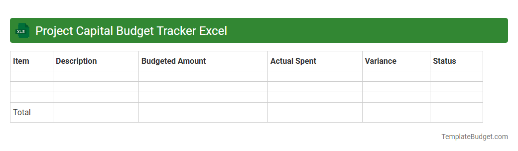 Project Capital Budget Tracker Excel
