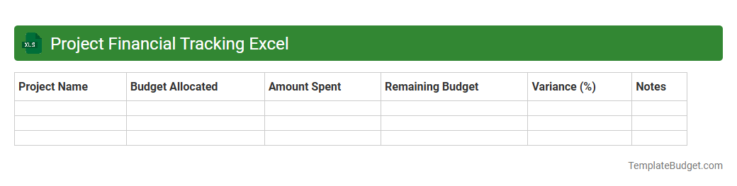 Project Financial Tracking Excel