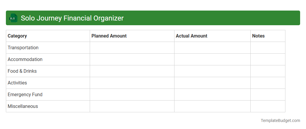 Solo Journey Financial Organizer