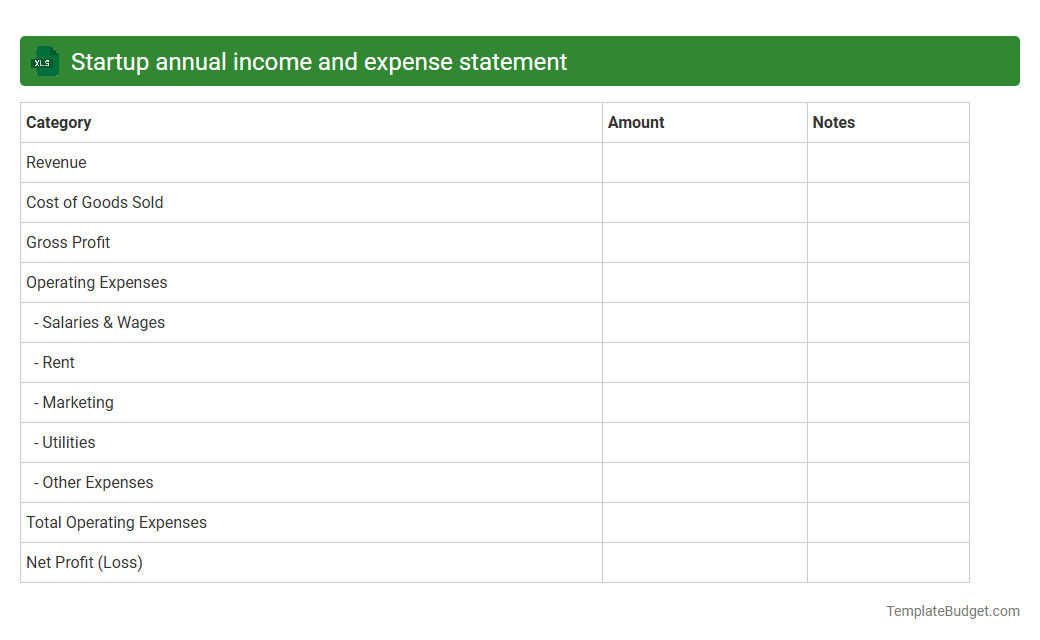 Startup annual income and expense statement