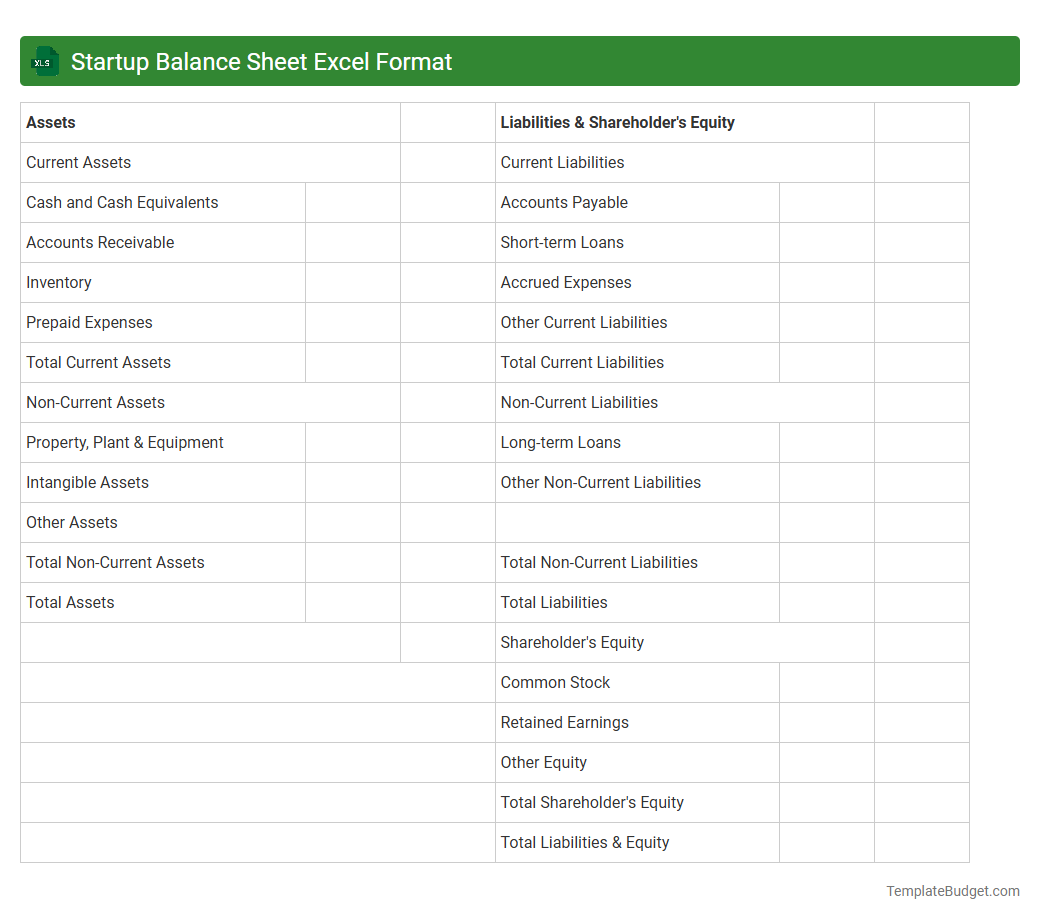 Startup Balance Sheet Excel Format