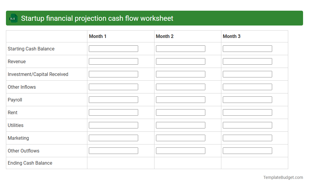 Startup financial projection cash flow worksheet
