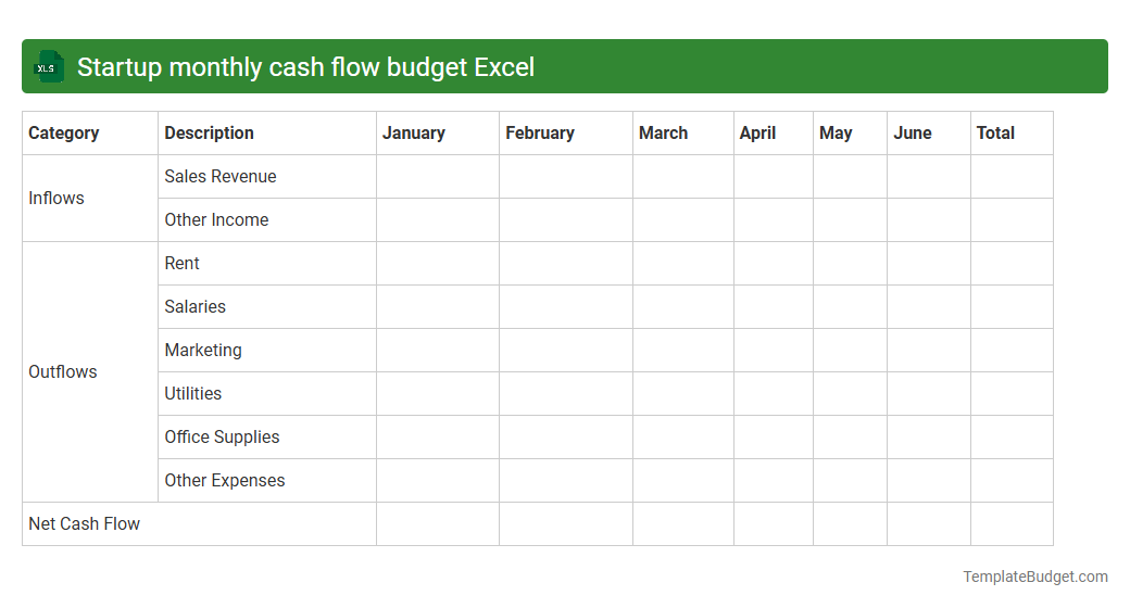 Startup monthly cash flow budget Excel