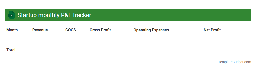 Startup monthly P&L tracker