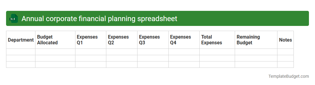 Annual corporate financial planning spreadsheet