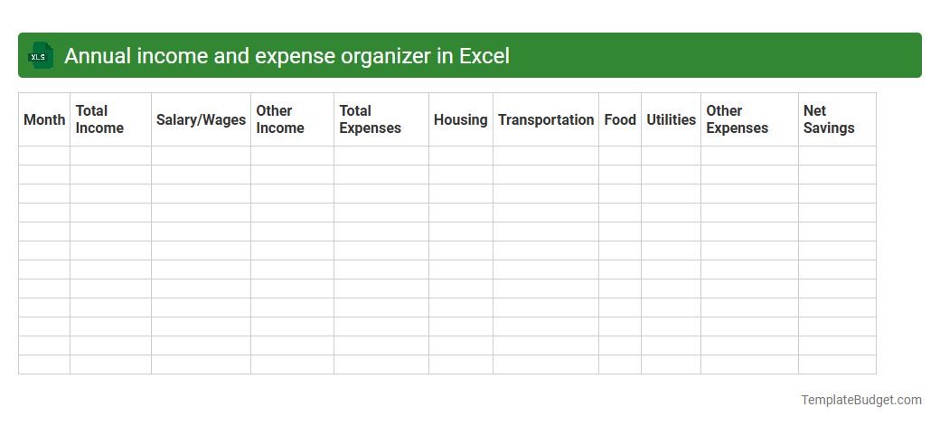 Annual income and expense organizer in Excel
