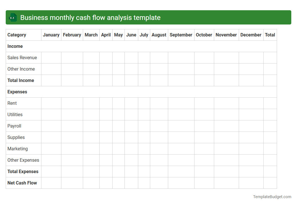 Business monthly cash flow analysis template