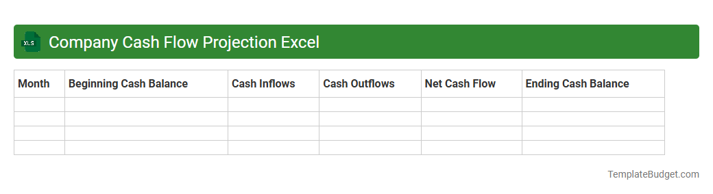 Company Cash Flow Projection Excel