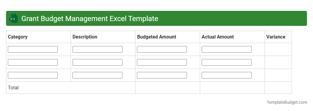 Grant Budget Management Excel Template