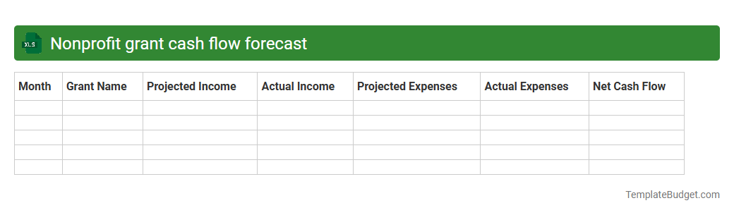 Nonprofit grant cash flow forecast