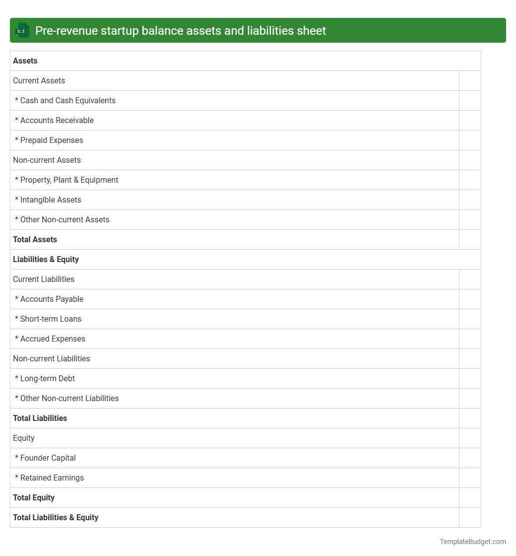 Pre-revenue startup balance assets and liabilities sheet