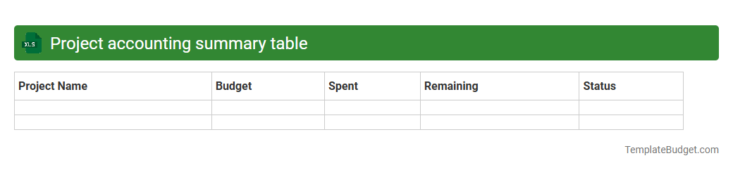 Project accounting summary table