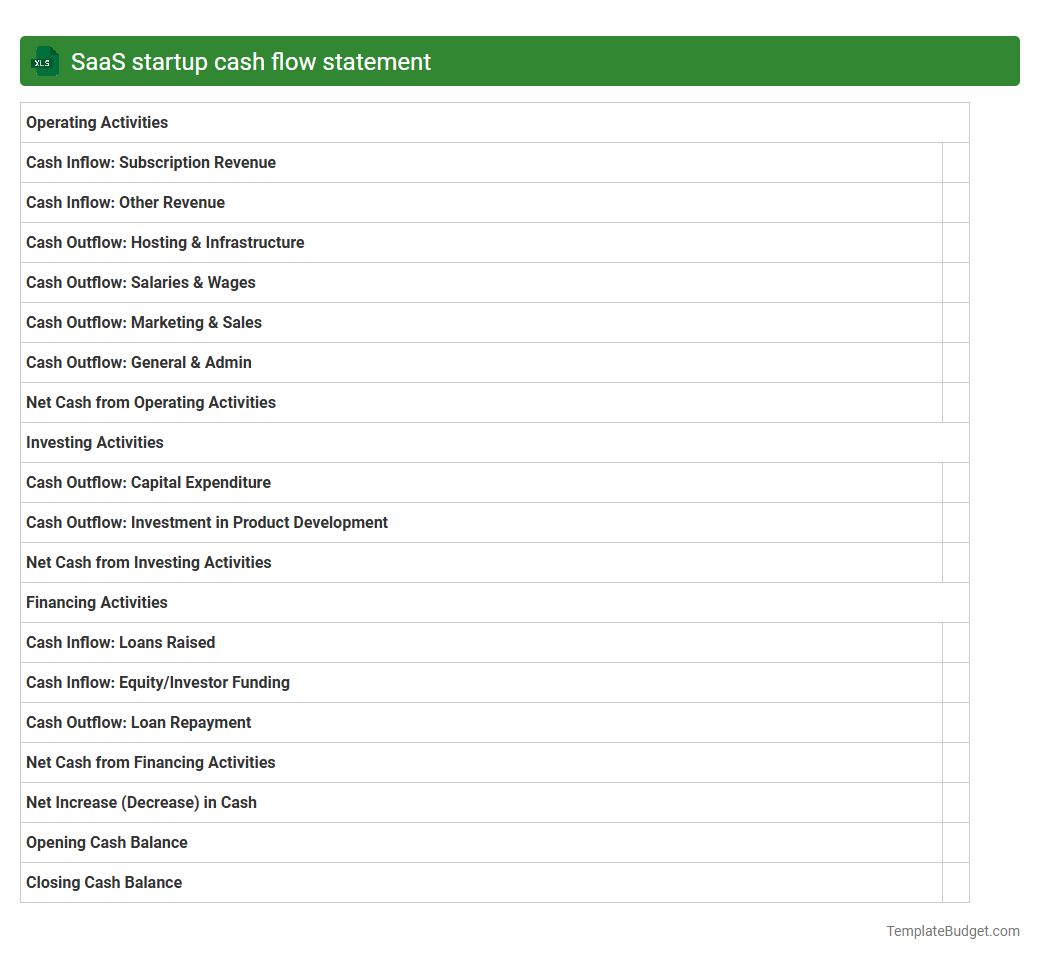 SaaS startup cash flow statement