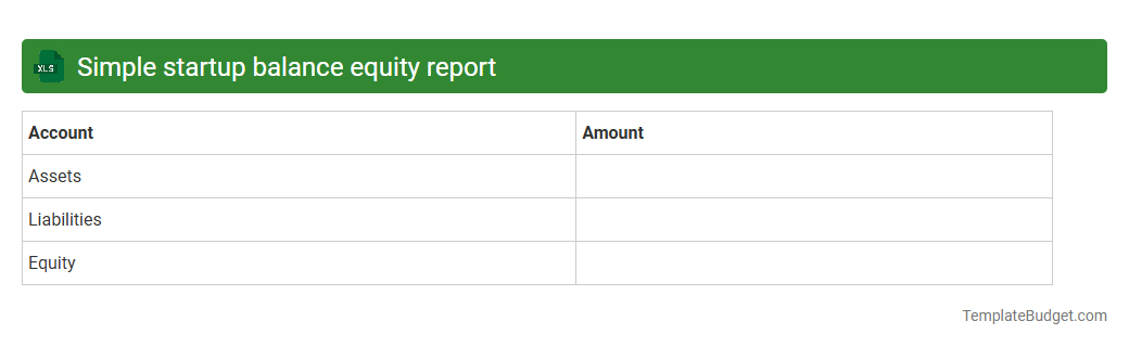 Simple startup balance equity report