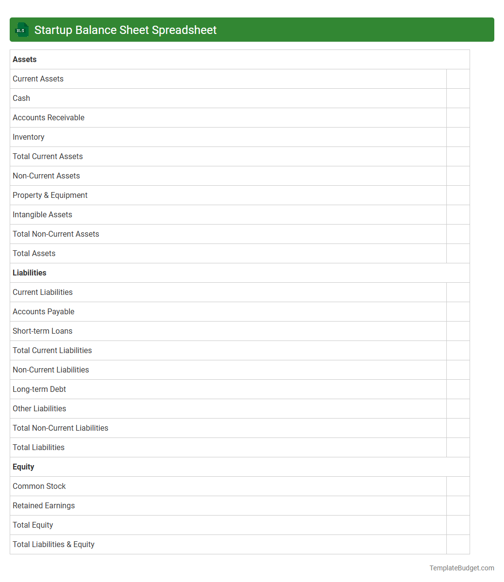 Startup Balance Sheet Spreadsheet