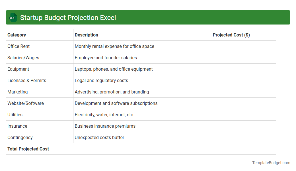 Startup Budget Projection Excel