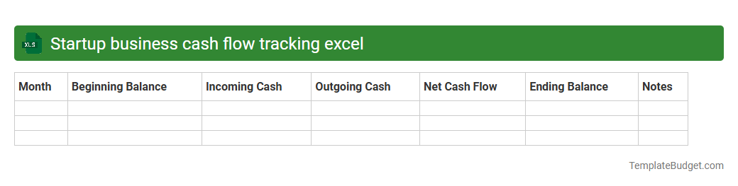 Startup business cash flow tracking excel