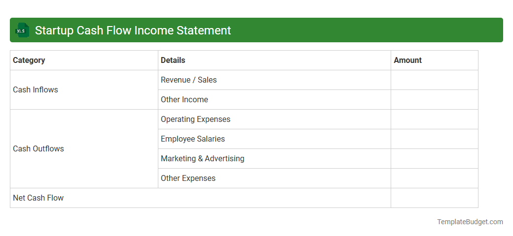 Startup Cash Flow Income Statement