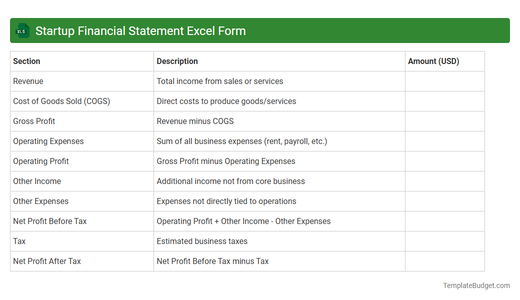 Startup Financial Statement Excel Form