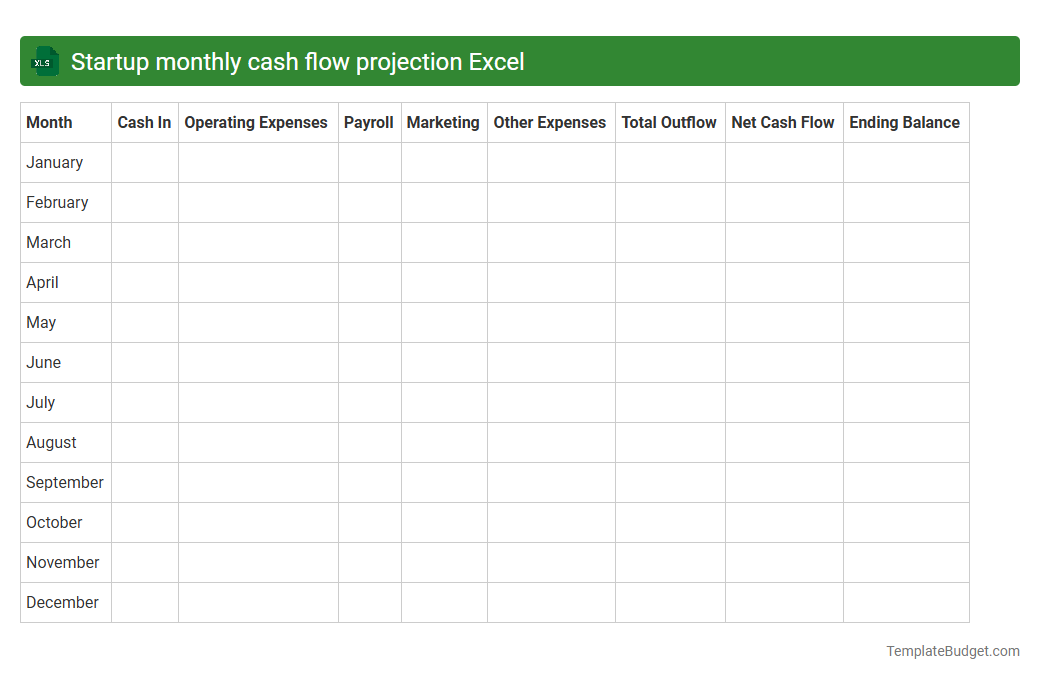Startup monthly cash flow projection Excel