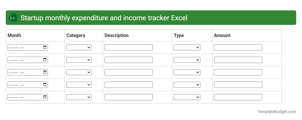 Startup monthly expenditure and income tracker Excel