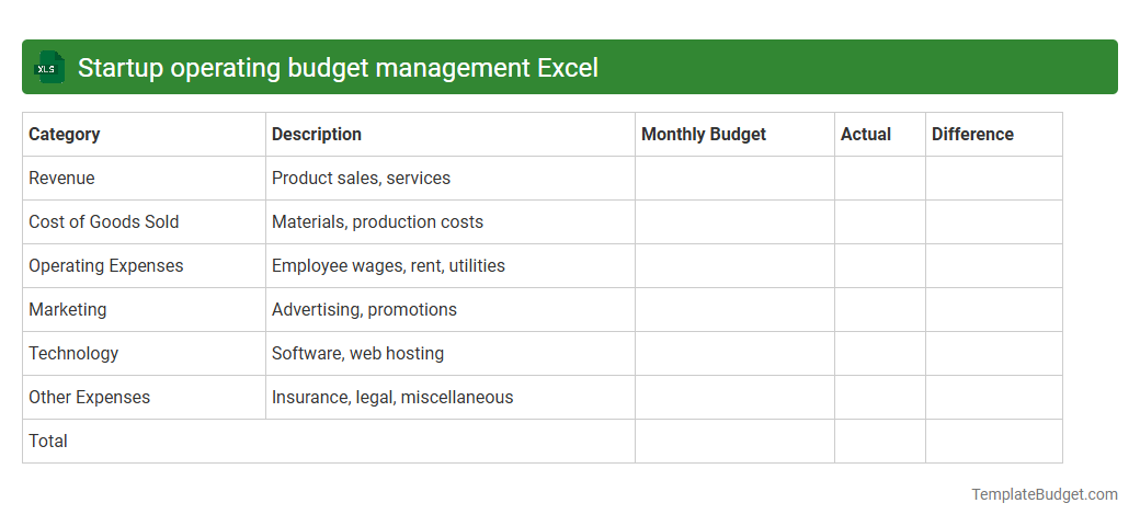 Startup operating budget management Excel