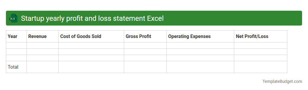 Startup yearly profit and loss statement Excel