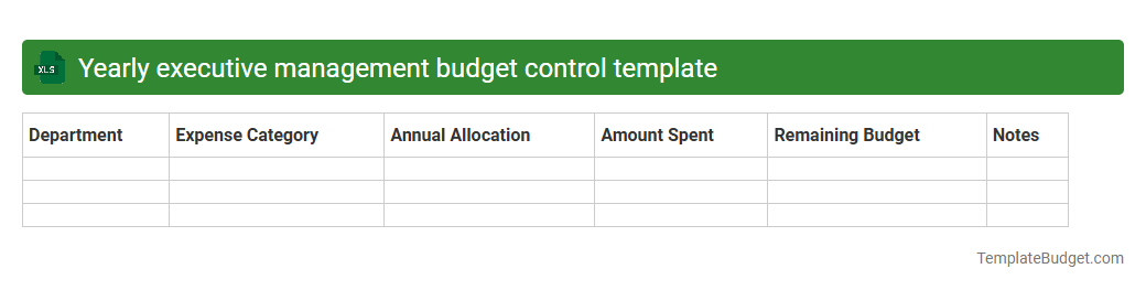 Yearly executive management budget control template